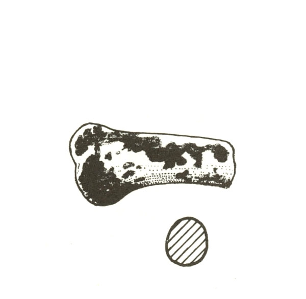 AMO DEL 1978, fig. 2, 4