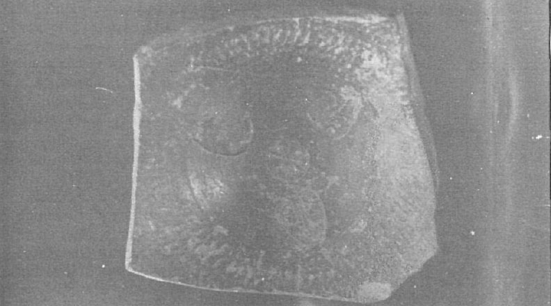 Fabra Burguete 1984. Fig.3