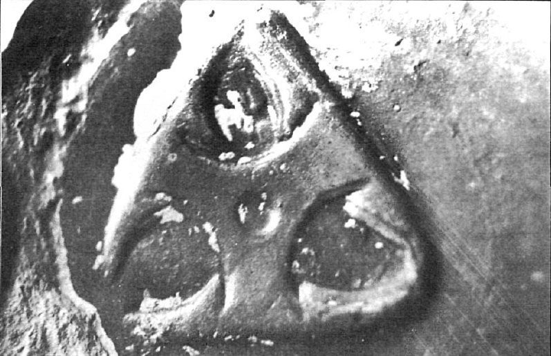 Fabra Burguete 1984. Fig.6