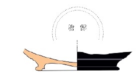 Jiménez Ávila 2018