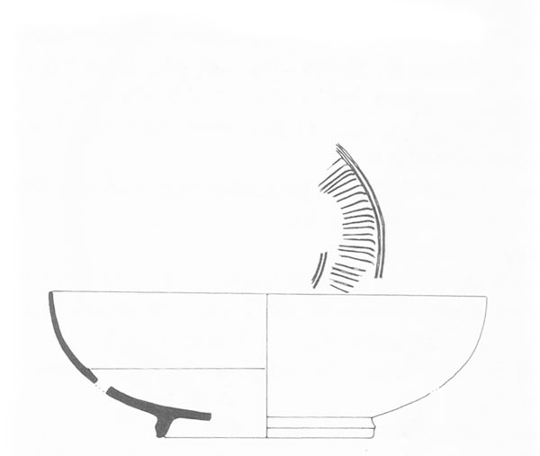 Aranegui et alii 1993