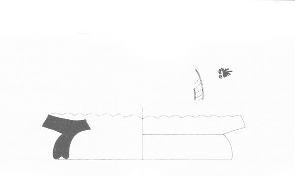 Aranegui et alii 1993