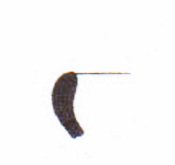 Aranegui et alii 1993