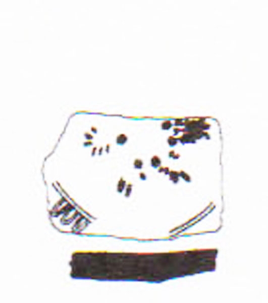 Aranegui et alii 1993