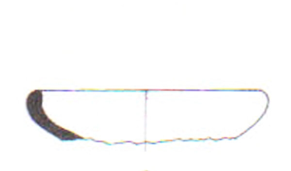 Aranegui et alii 1993