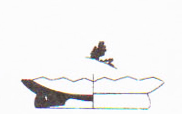 Aranegui et alii 1993