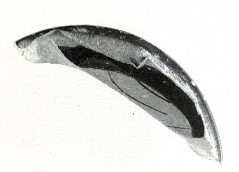 Jiménez Ávila/Ortega 2004