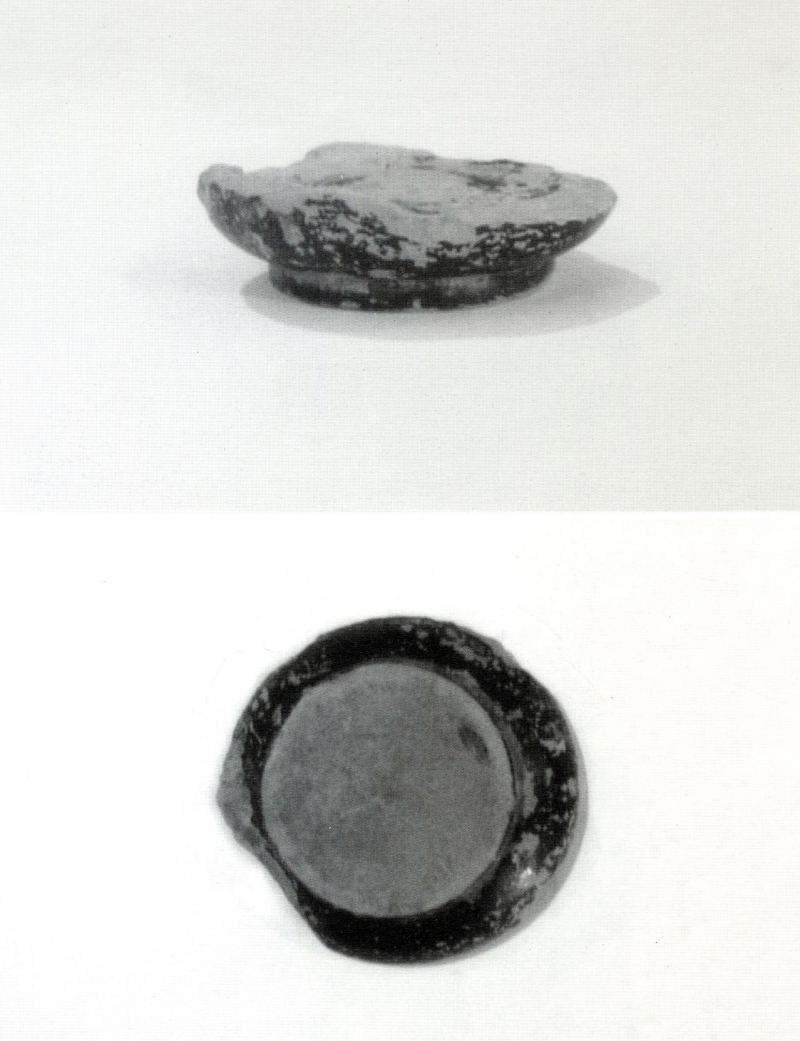 Jiménez Ávila/Ortega 2004