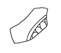 Gracia Munilla Pallarés 1988. Fig.33