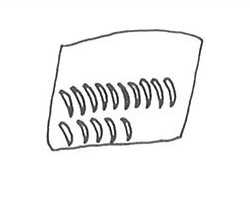 Gracia Munilla Pallarés 1988. Fig.39