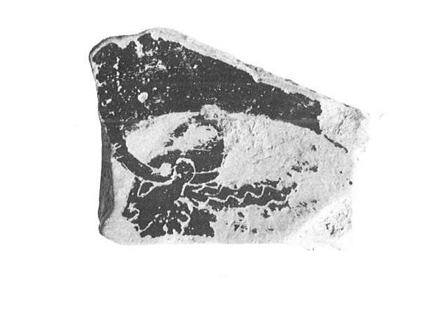 Maluquer/Picazo/Martín 1984 pl. 8, lam. 4.