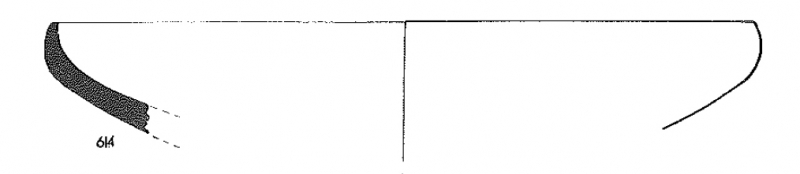 JUNYENT 1973. Fig.11- 614