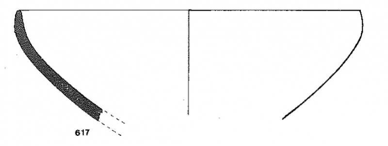 JUNYENT 1973. Fig.11- 617