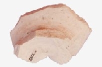 GARCÍA MARTÍN 2011