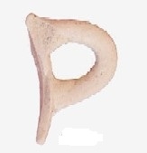 GARCÍA MARTÍN 2011