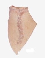 GARCÍA MARTÍN 2011