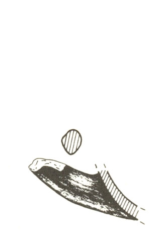 BELÉN, FERNÁNDEZ-MIRANDA 1978, fig. 33, 35