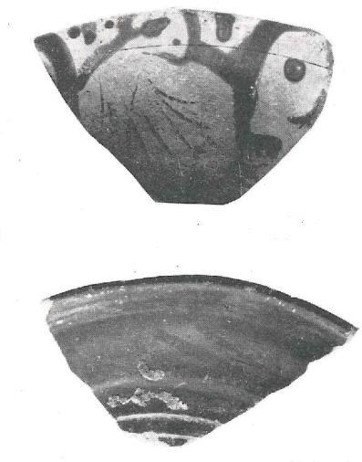 Arribas et alii 1987