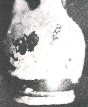 Arribas et alii 1987