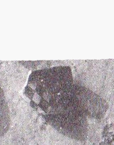 GARCÍA CANO 1982, p. 100,114, lám. 10-2.