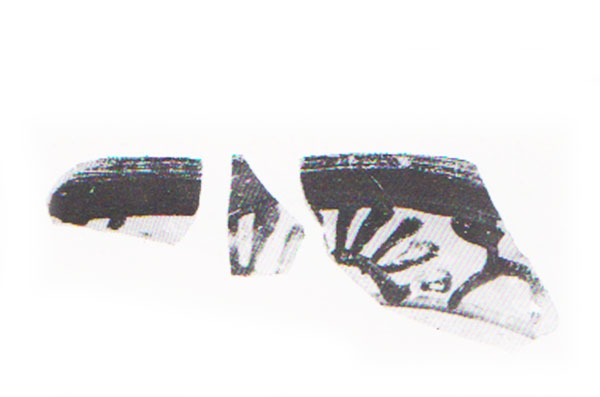 Aranegui et alii 1993