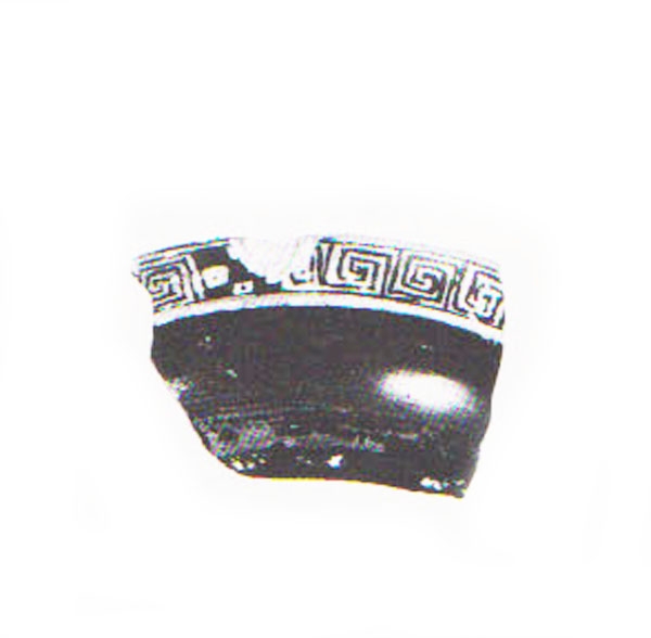 Aranegui et alii 1993