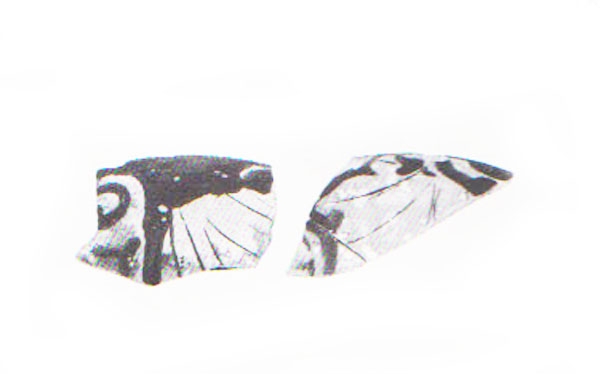 Aranegui et alii 1993