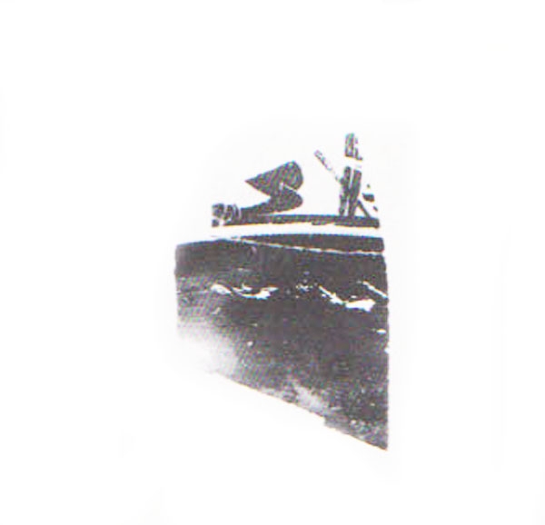 Aranegui et alii 1993