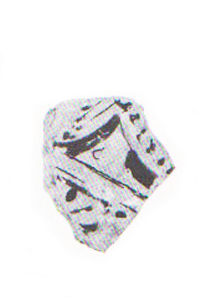 Aranegui et alii 1993