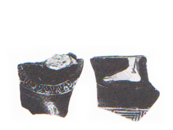 Aranegui et alii 1993