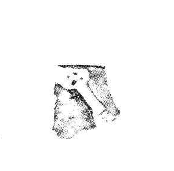 Aranegui et alii 1993