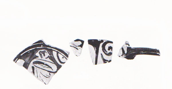 Aranegui et alii 1993