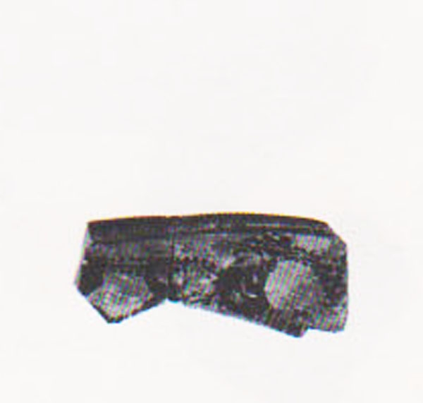 Aranegui et alii 1993