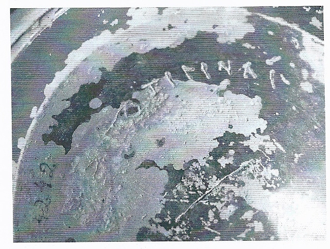 De Hoz García-Bellido 2014