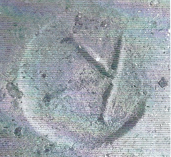 De Hoz García-Bellido 2014