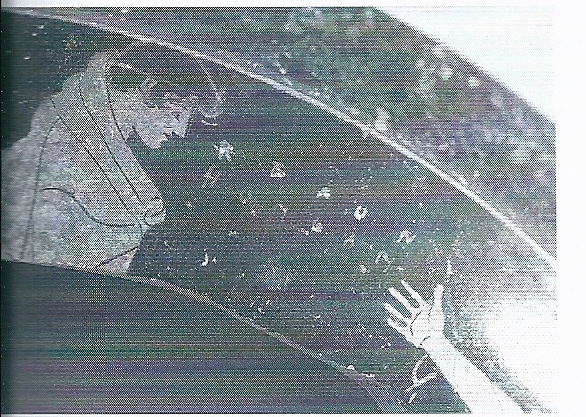 De Hoz García-Bellido 2014