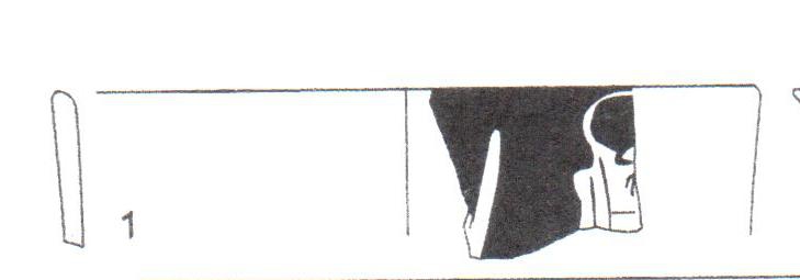 Burch/Nolla/Sagrera 2011