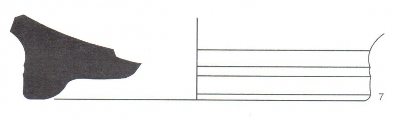 Casas/Nolla/Soler 2010