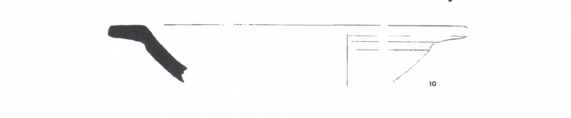 Agustí/Burch/Llinàs 1998