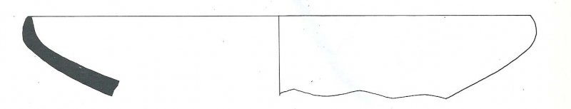 Pons/Llorens/Toledo 1981