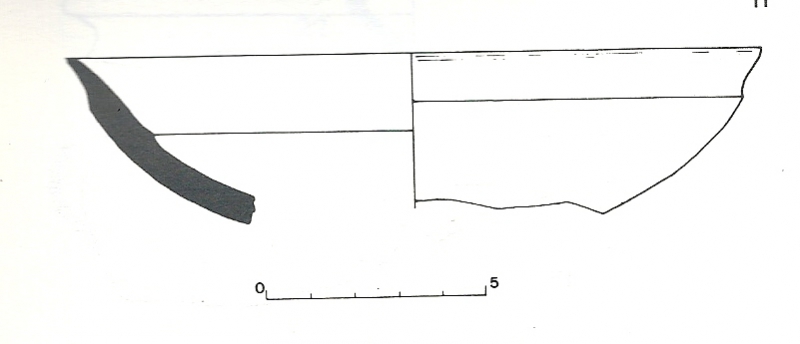 Pons/Llorens/Toledo 1981