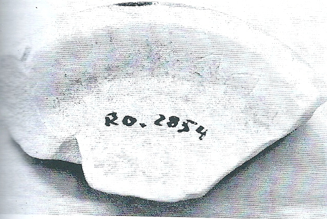 De Hoz García-Bellido 2014