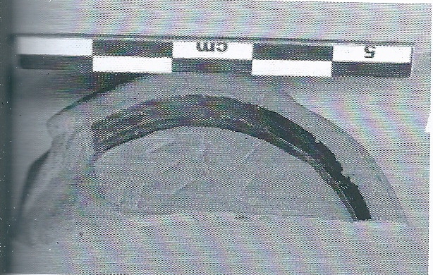 De Hoz García-Bellido 2014