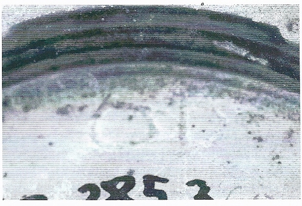 De Hoz García-Bellido 2014