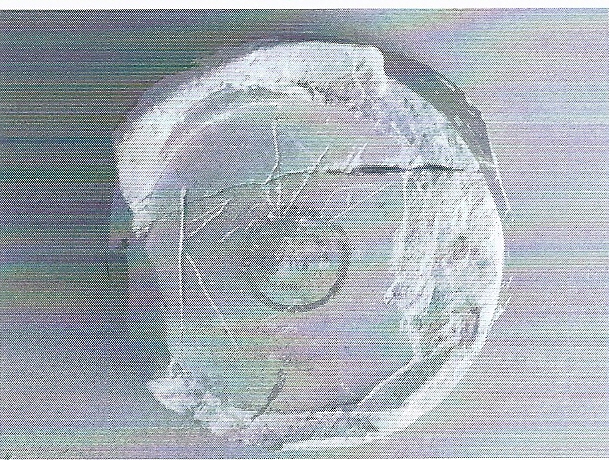 De Hoz García-Bellido 2014