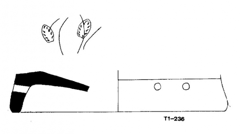 VILÀ/BURGUEÑO 1995, p. 16, lám. 1, T1 236