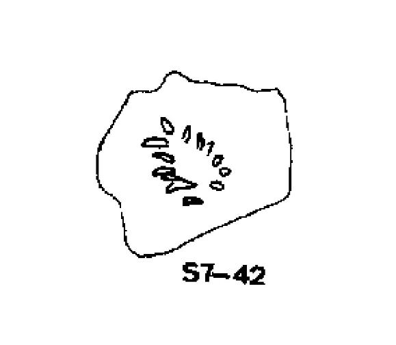 VILÀ/BURGUEÑO 1995, p. 17, lám. 1, S7-42