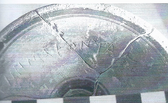 De Hoz García-Bellido 2014