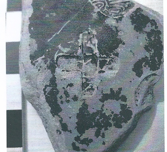 De Hoz García-Bellido 2014