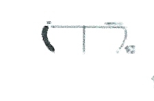 Codina/Martín/del Prado 2010-2011